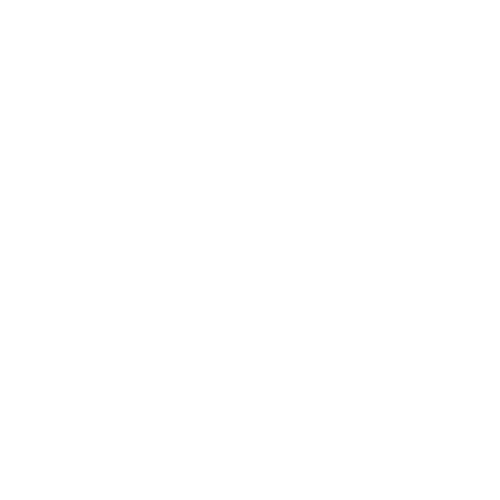 Nucleo Company